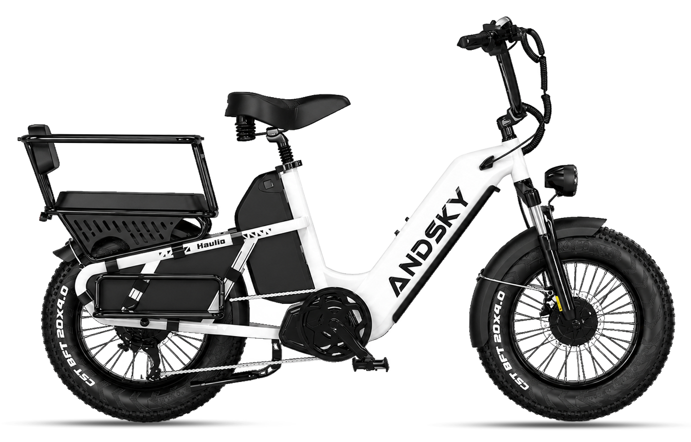 Haulio Max -CA