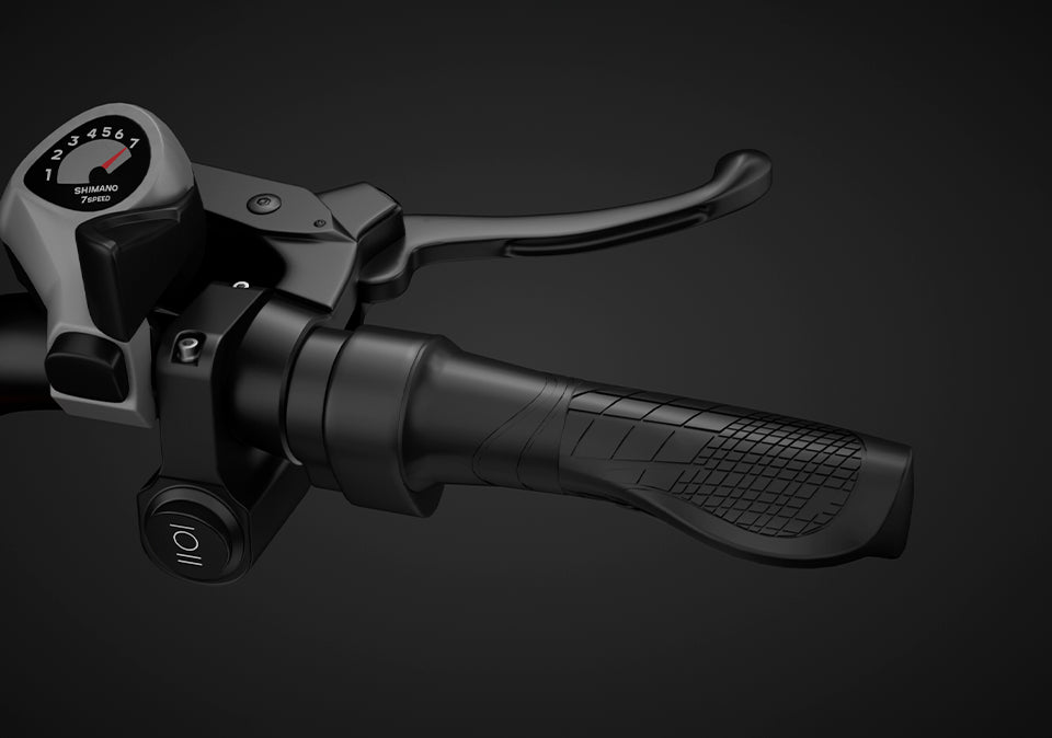 Throttle & Drive Switch