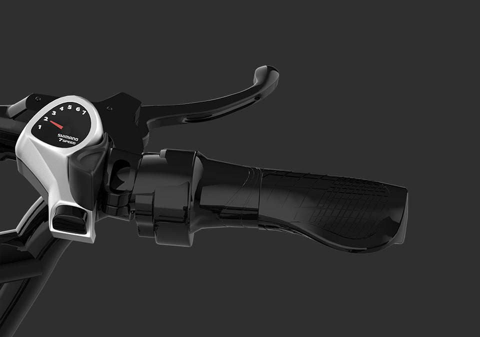 Throttle