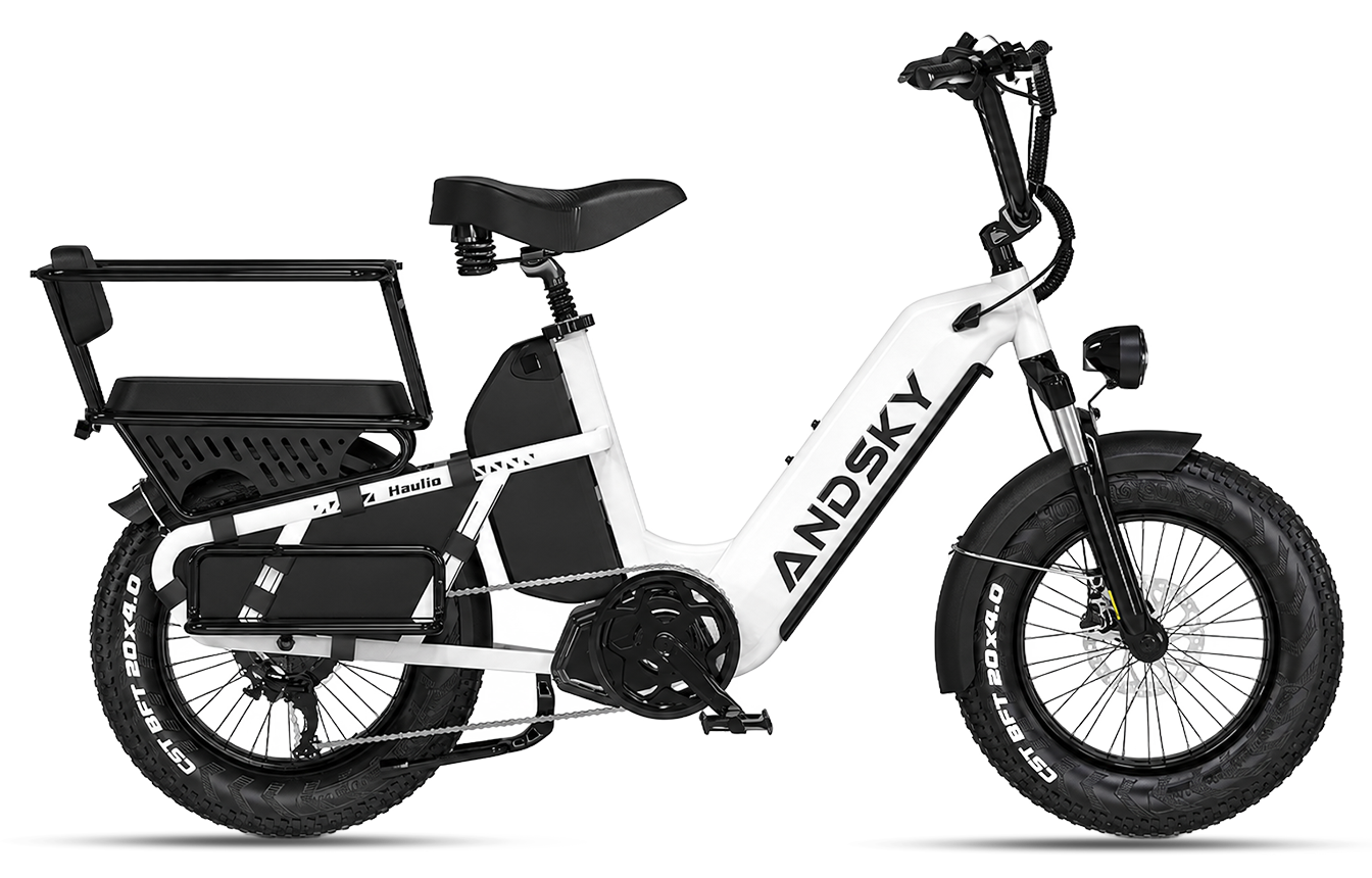 White（Torque / Cadence）