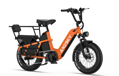 Haulio S - CA