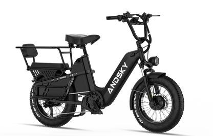 Haulio Max -CA