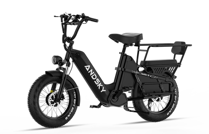 Haulio Max -CA