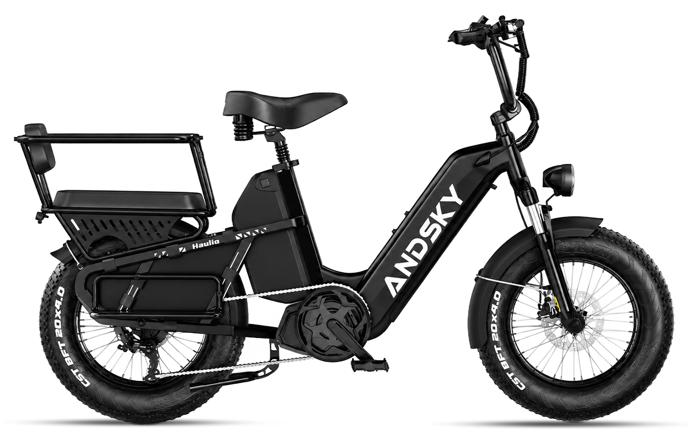 Black（Torque / Cadence）