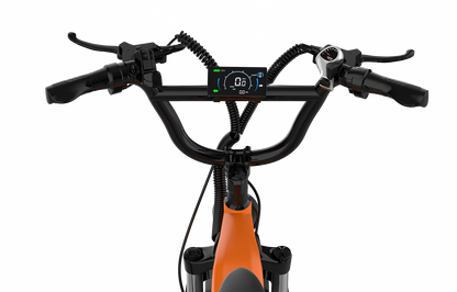 Haulio S - CA